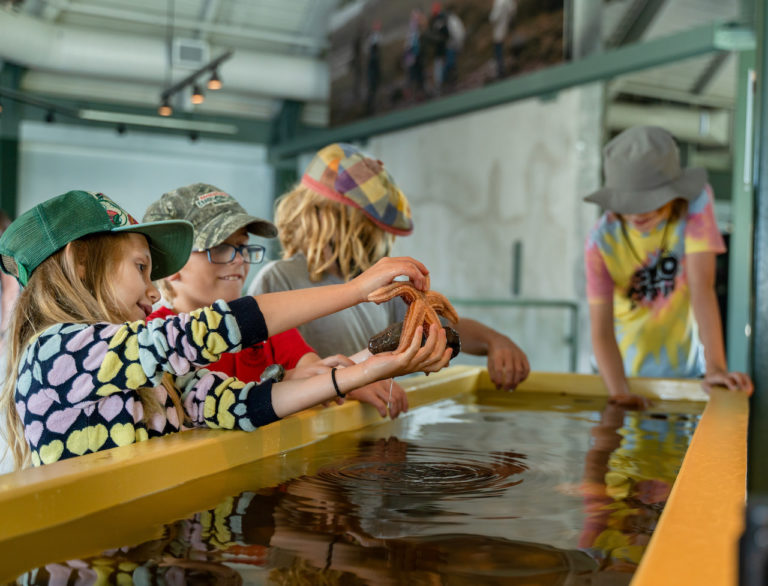 Fundy Discovery Aquarium 1